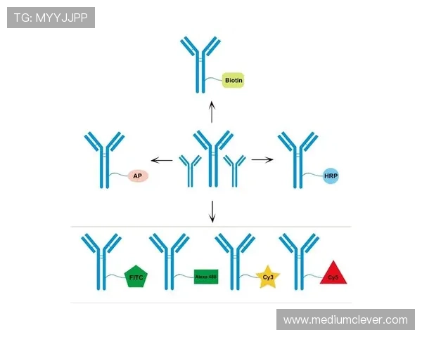博欧特抗体官网网页版全面介绍与最新功能解析